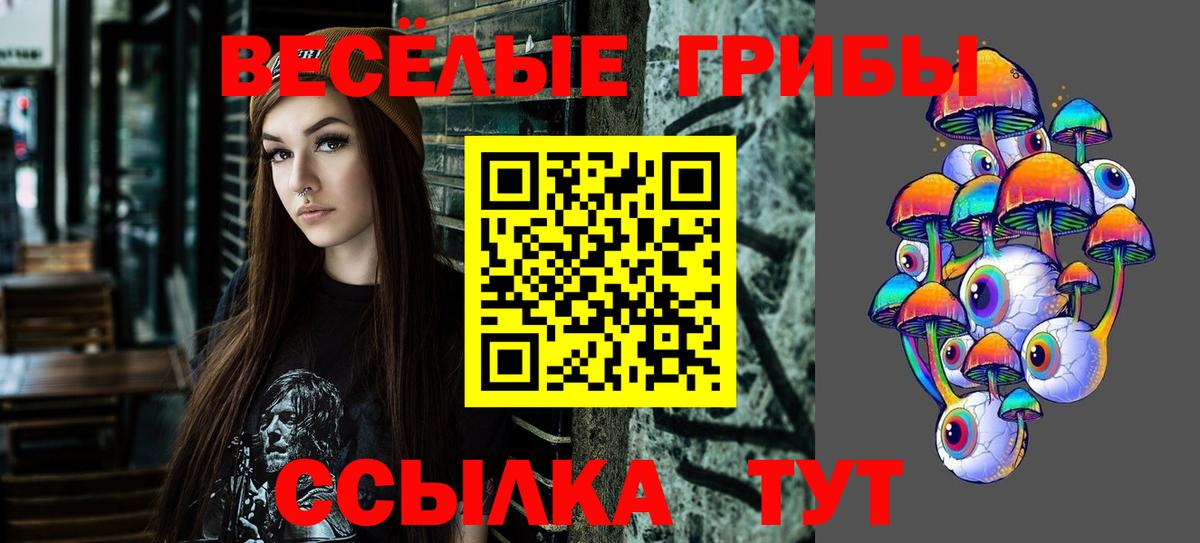 Галлюциногенные грибы Psilocybe  Вход с VPN  Минеральные Воды 