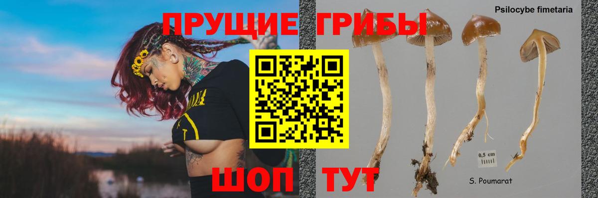Галлюциногенные грибы Cubensis Минеральные Воды